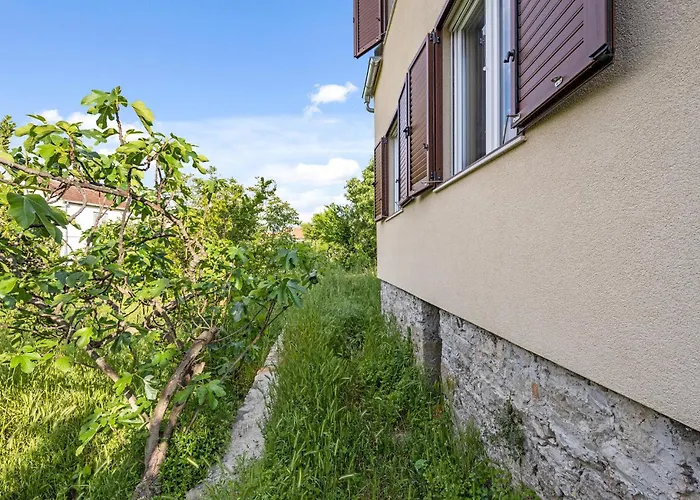 Appartement Cozy In With Wifi